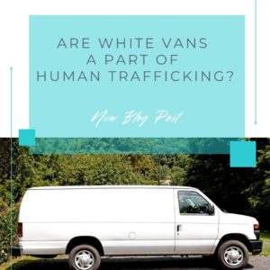 A white van parked in front of a hedge